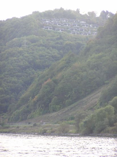 Jetzt unsere eigenen Huschen im Landalpark!