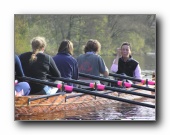 [Click to enlarge image]