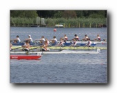 [Click to enlarge image]