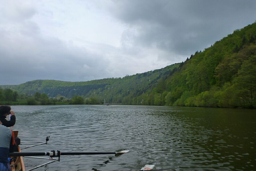 Neckar2013_073