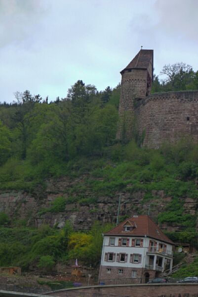 Neckar2013_091