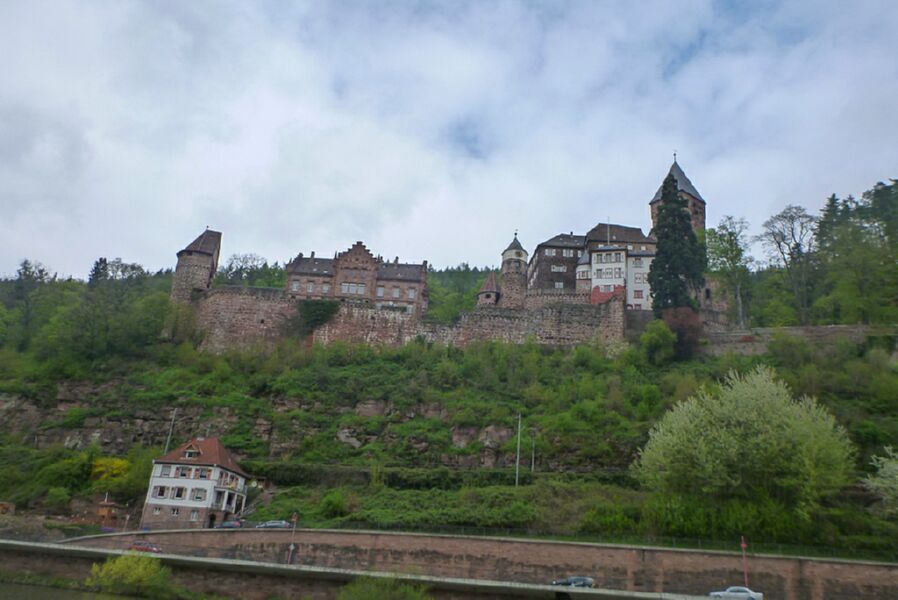 Neckar2013_093