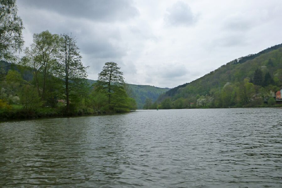 Neckar2013_095
