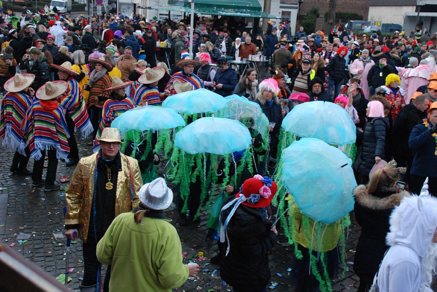 karnevalsumzug (199)